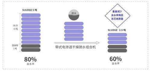 新環(huán)環(huán)保 污泥處置先進技術(shù)產(chǎn)品服務(wù)商，引領(lǐng)綠色環(huán)保新未來